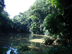 UdawattaKele historical Pond
